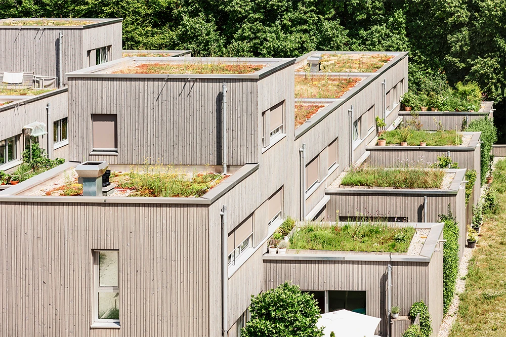 onderhoud extensief groendak